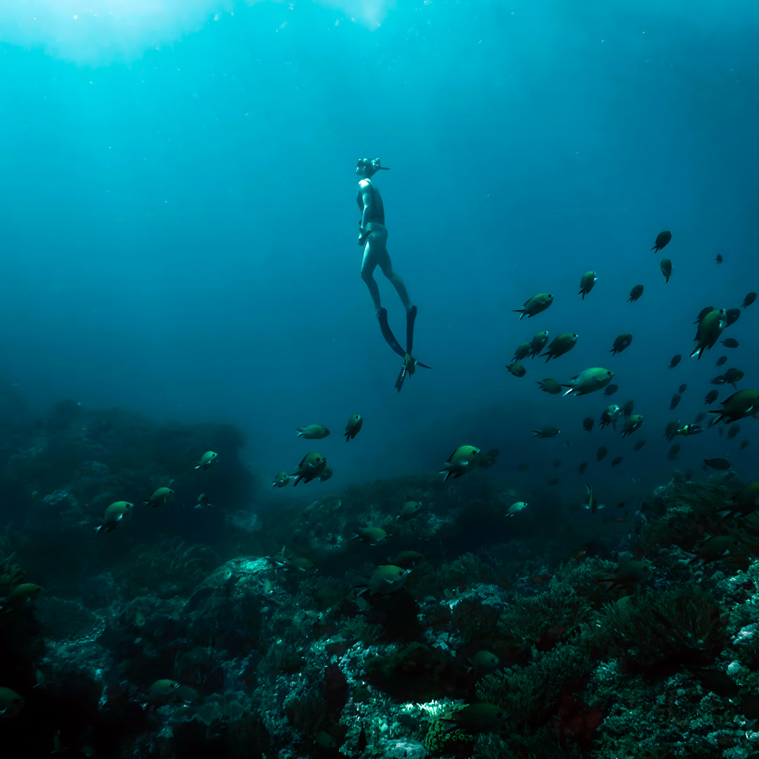 Flow to Depth Yoga & Freedive Line Training