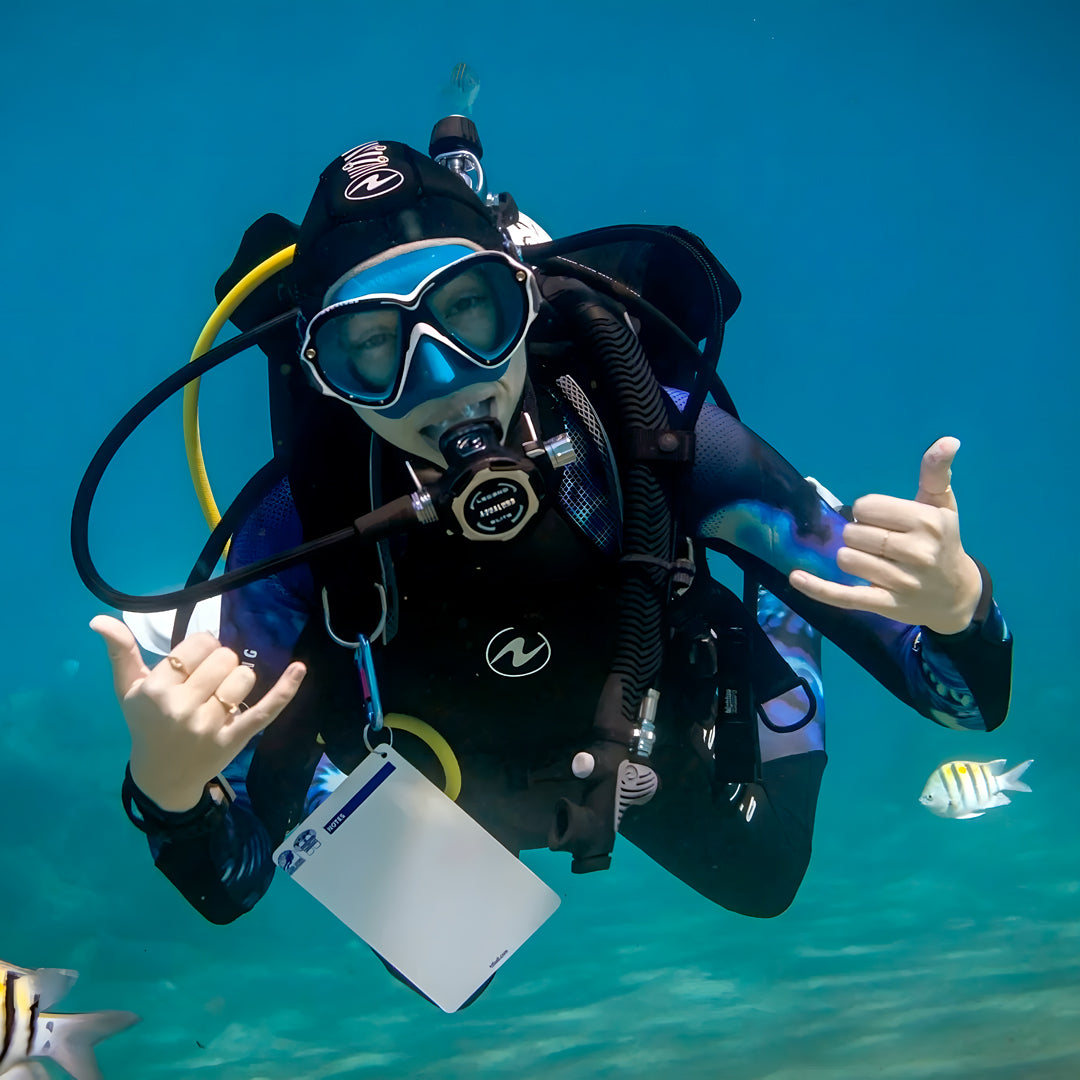Beginner Freediver Course in Port Stephens