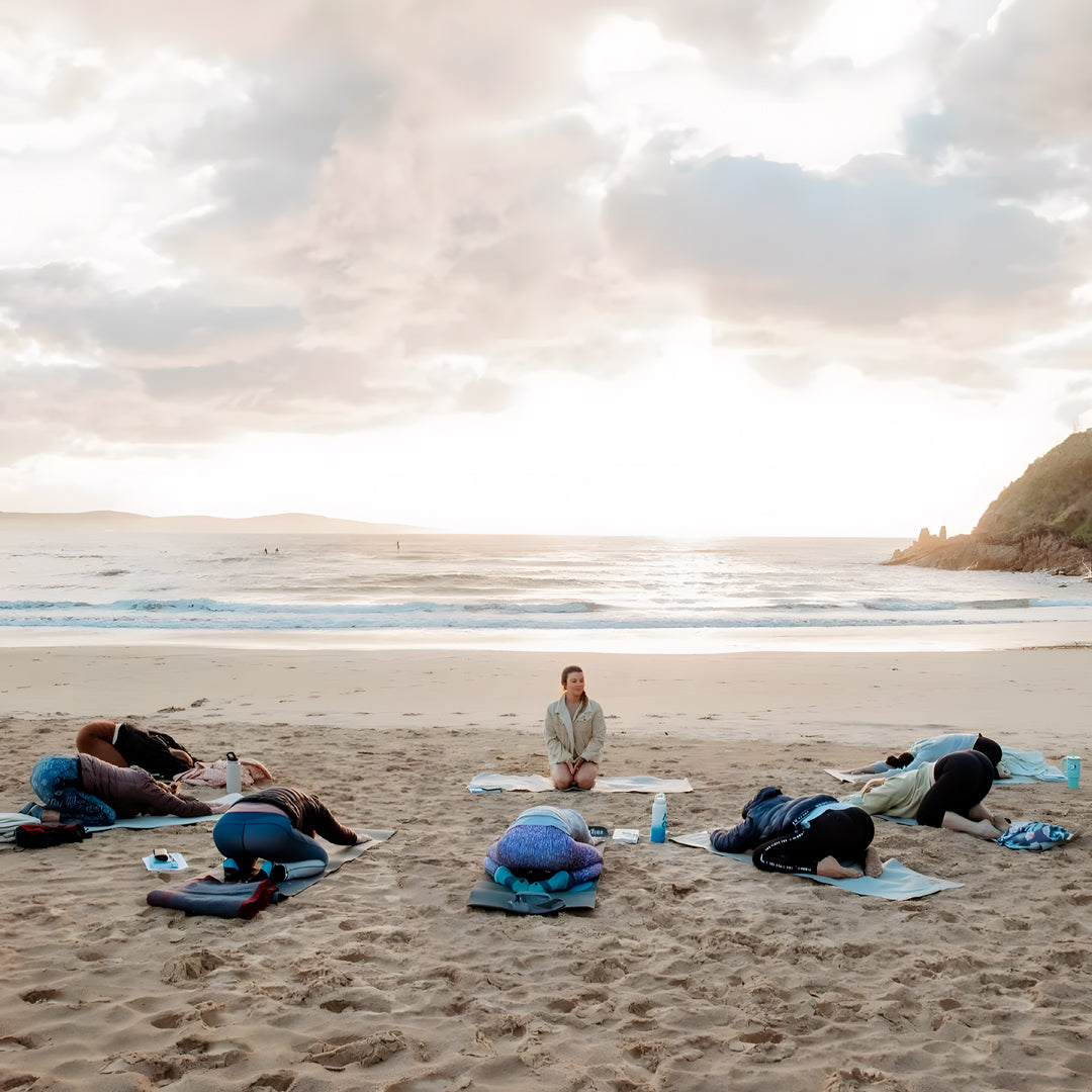 Beginner Freediver Course in Port Stephens
