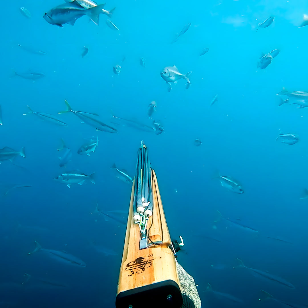 Flow to Depth Yoga & Freedive Line Training