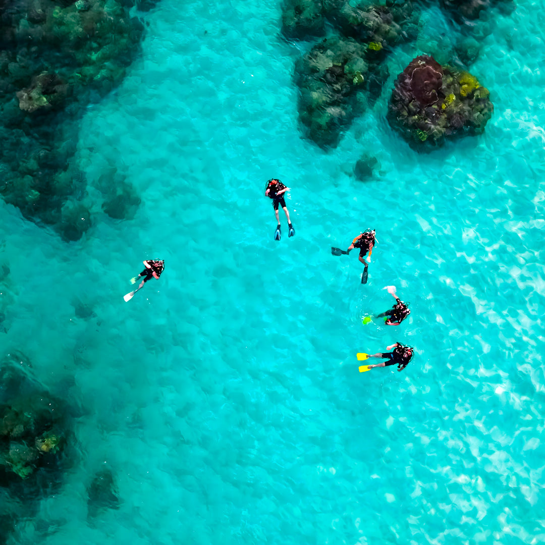 Flow to Depth Yoga & Freedive Line Training