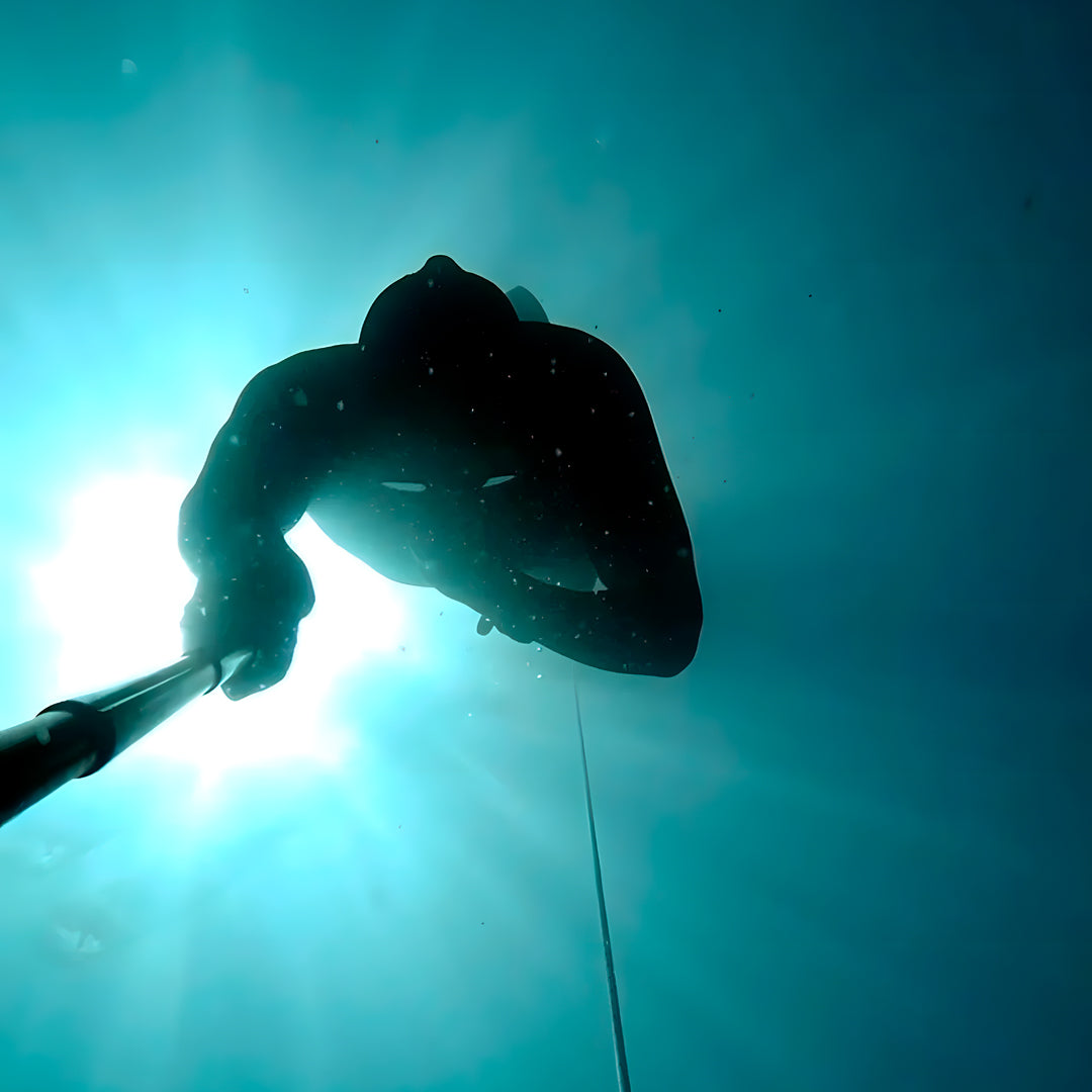 Beginner Freediver Course in Port Stephens