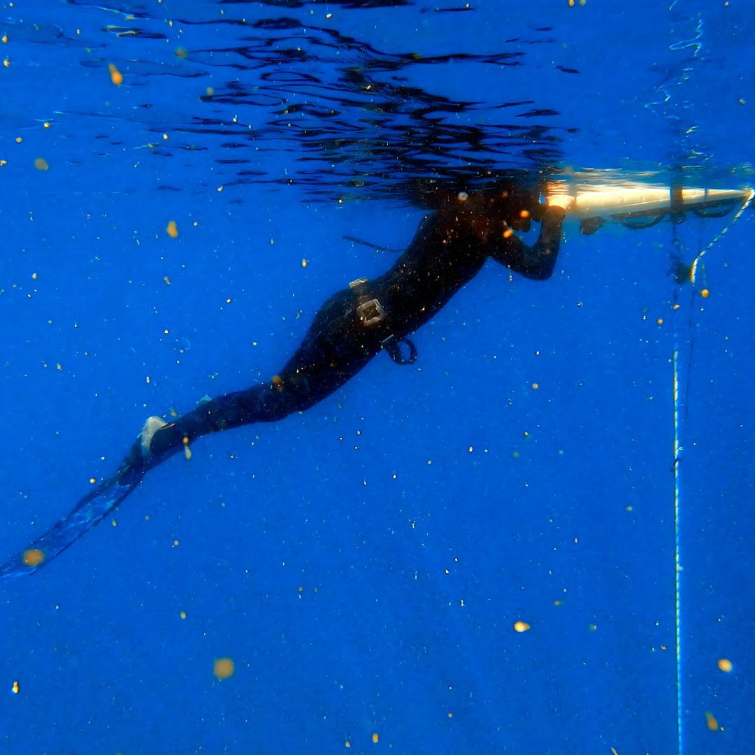 Open Water Scuba Certification in Port Stephens