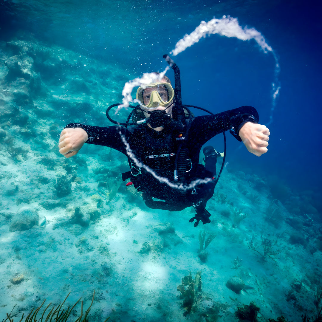 Beginner Freediver Course in Port Stephens
