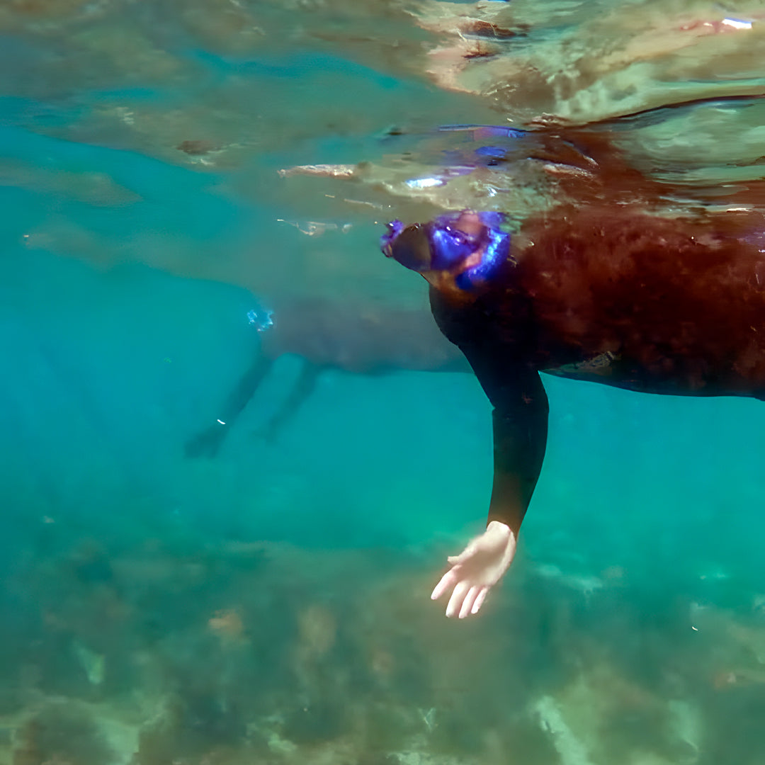 Open Water Scuba Certification in Port Stephens