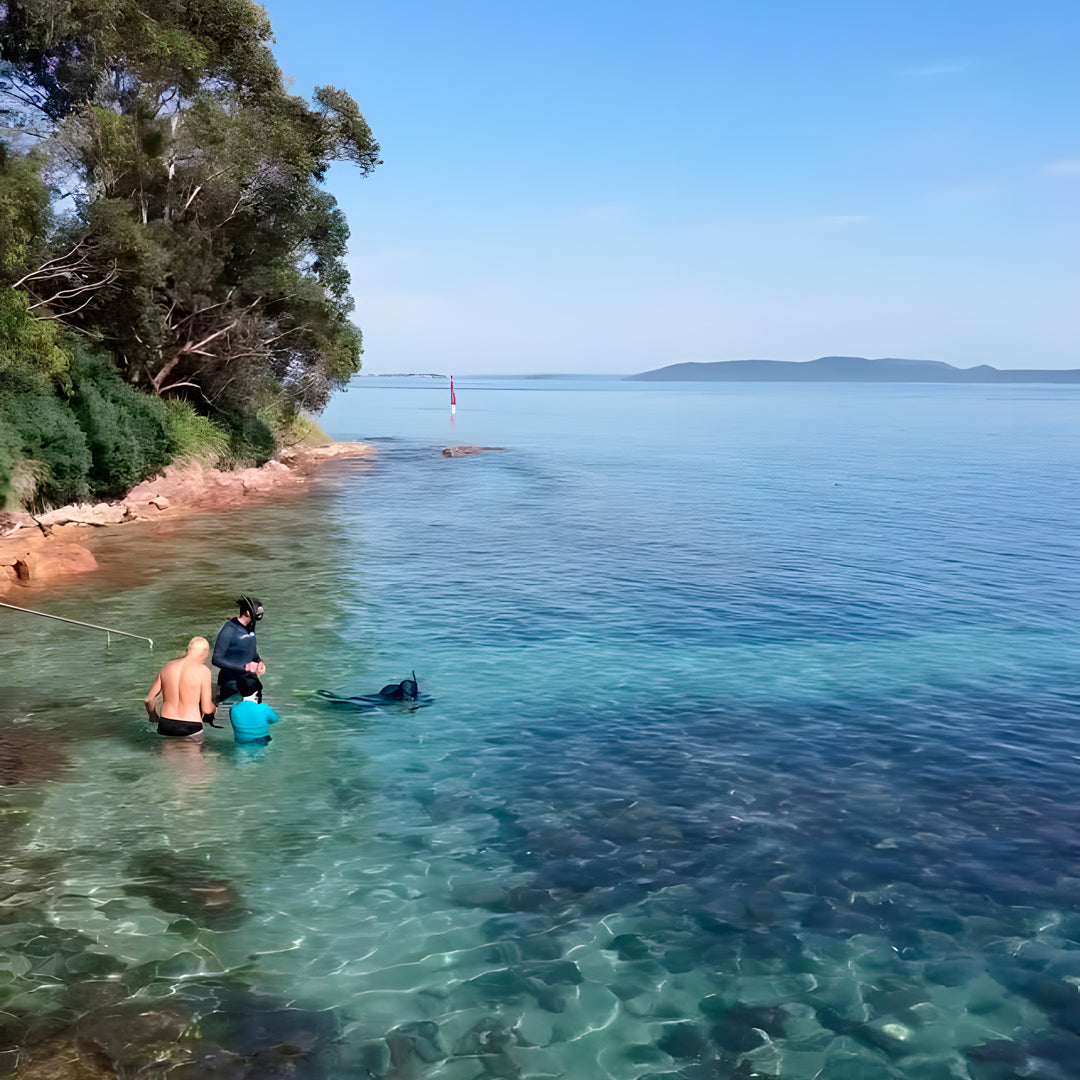 Flow to Depth Yoga & Freedive Line Training