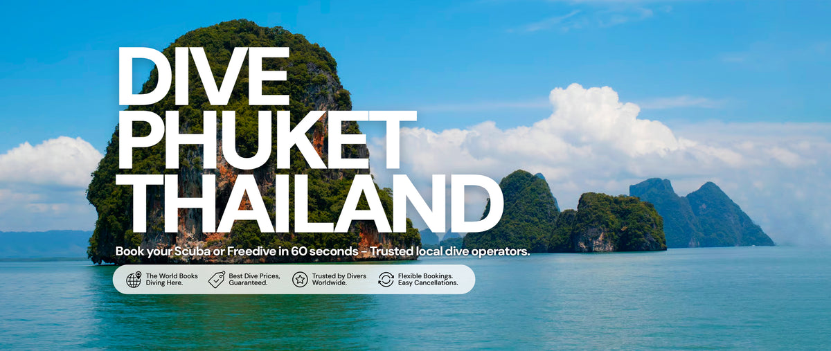 Dive Bookings