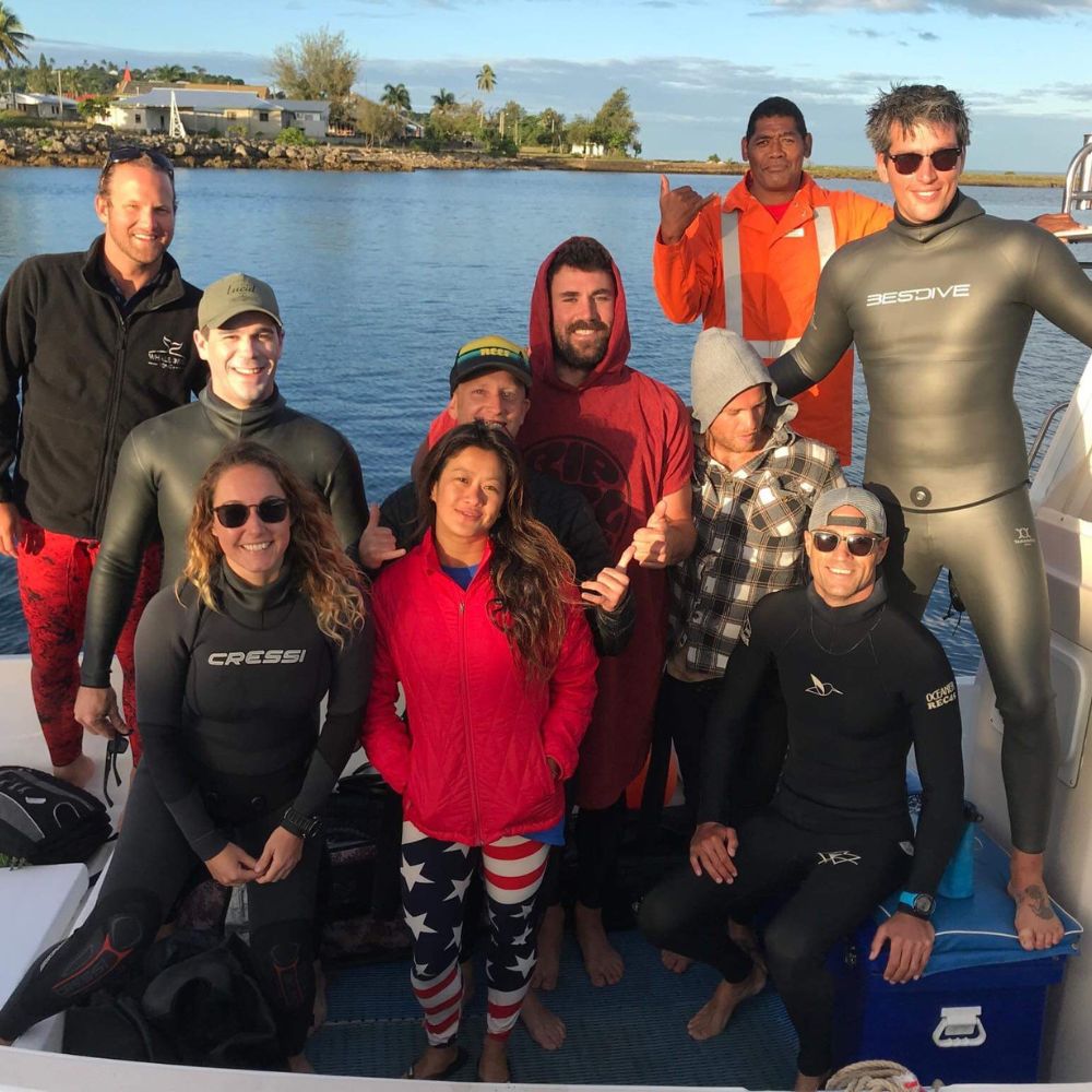 Whale Diving Timor Leste