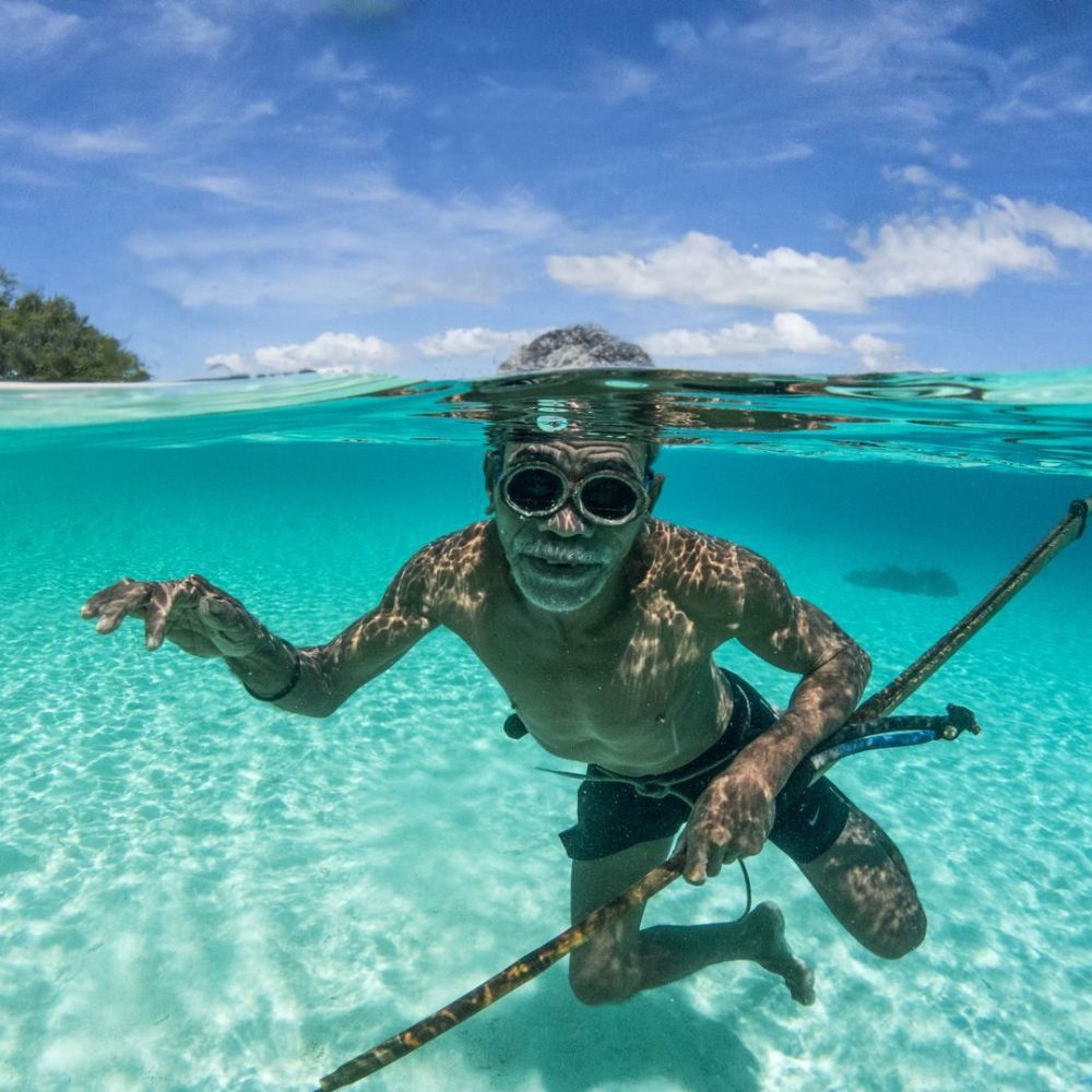 Whale Diving Timor Leste