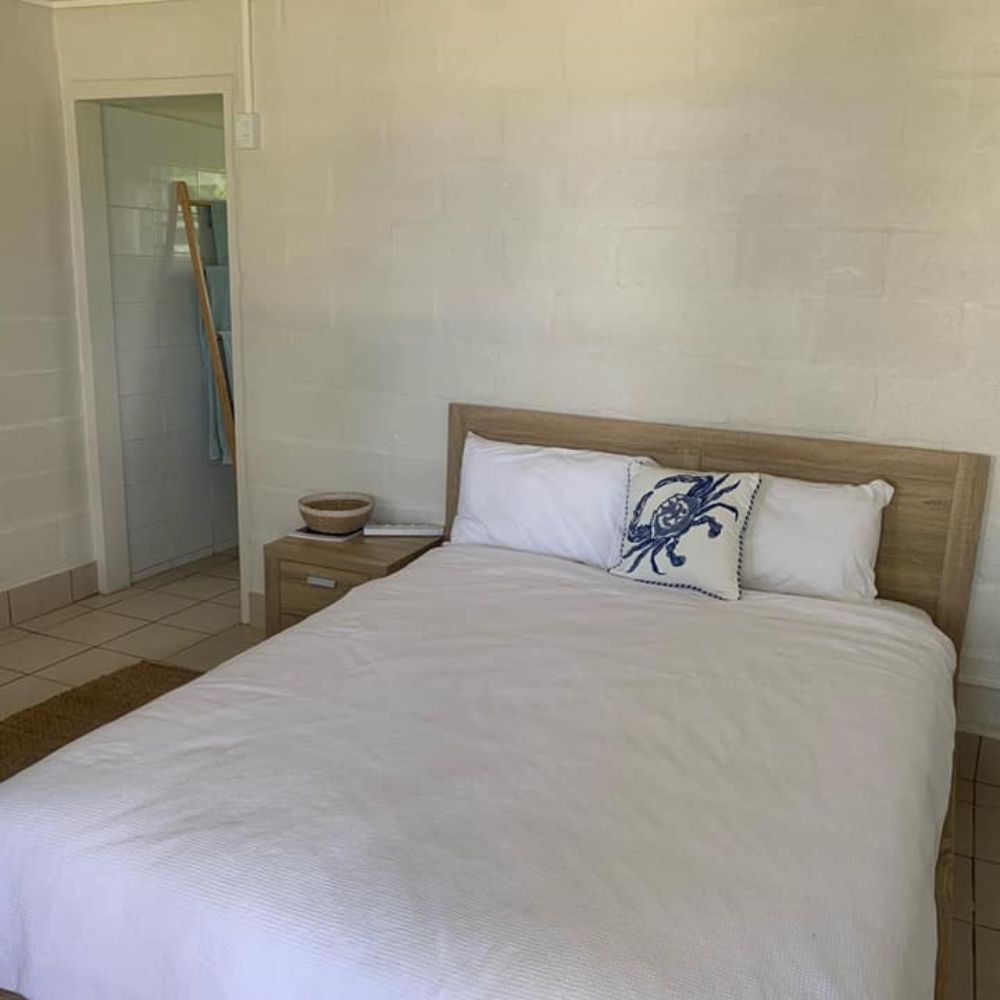 Tonga Humpback Whale Dive Trip