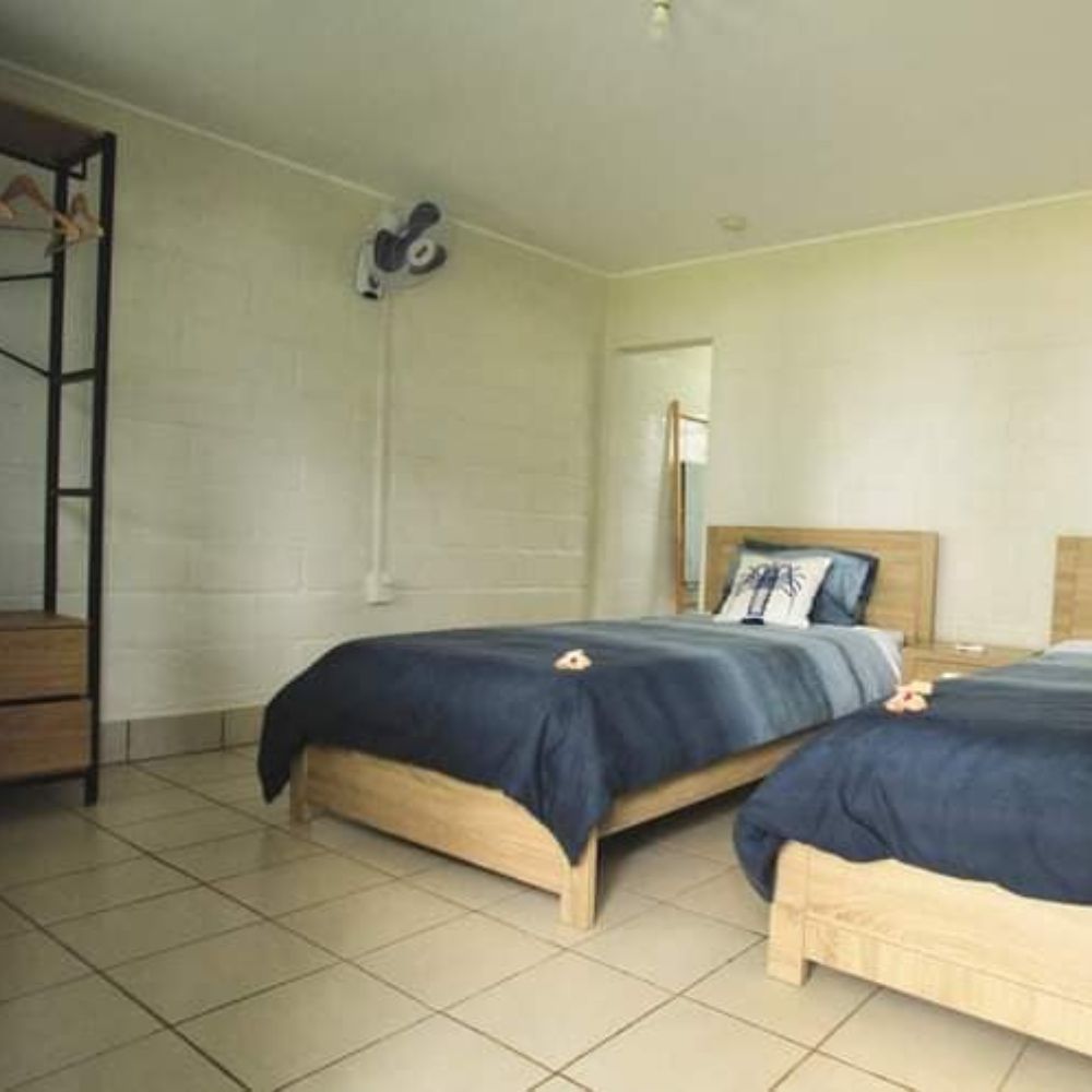 Tonga Humpback Whale Dive Trip