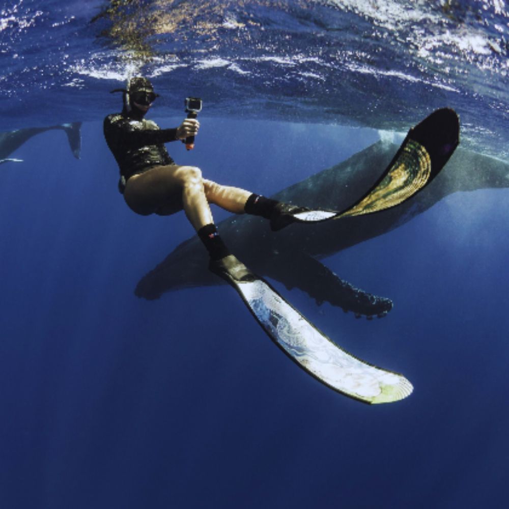 Tonga Humpback Whale Dive Trip