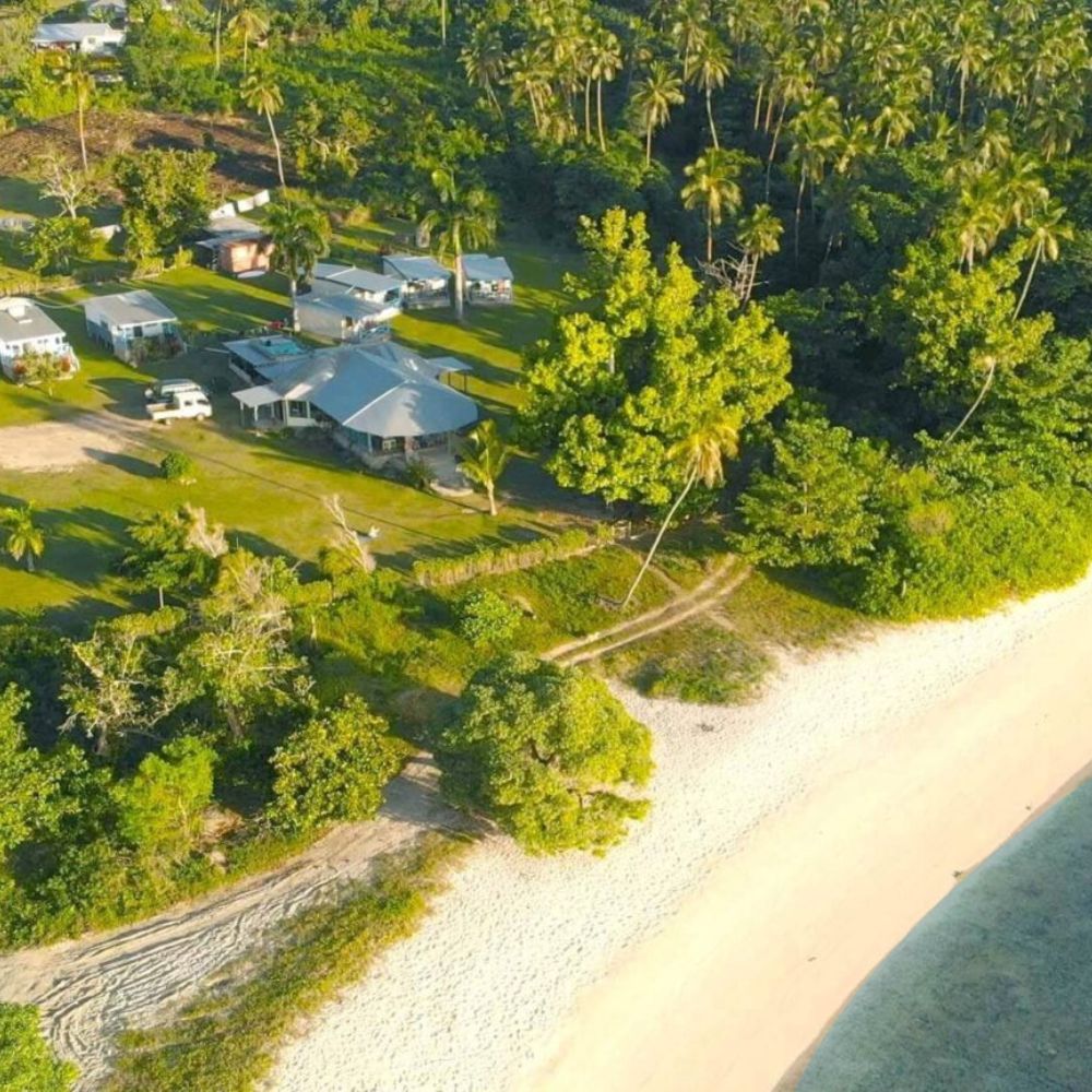 Tonga Humpback Whale Dive Trip