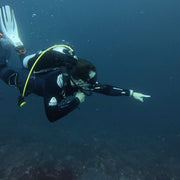 Nusa Penida Multi-Day Scuba Diving Fun Dive