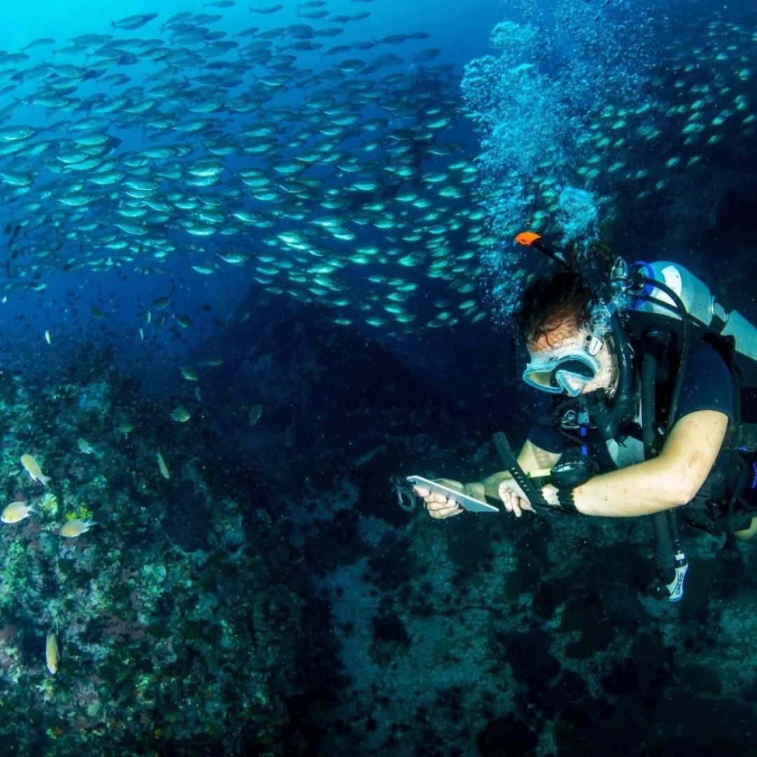 Nusa Penida Scuba Diving Fun Dive