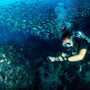 Discover Scuba Diving in Nusa Penida