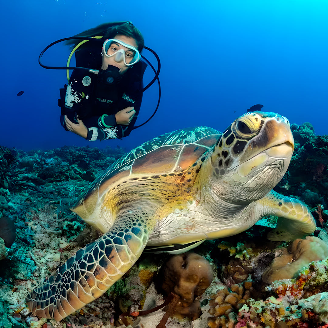 Discover Scuba Diving in Nusa Penida