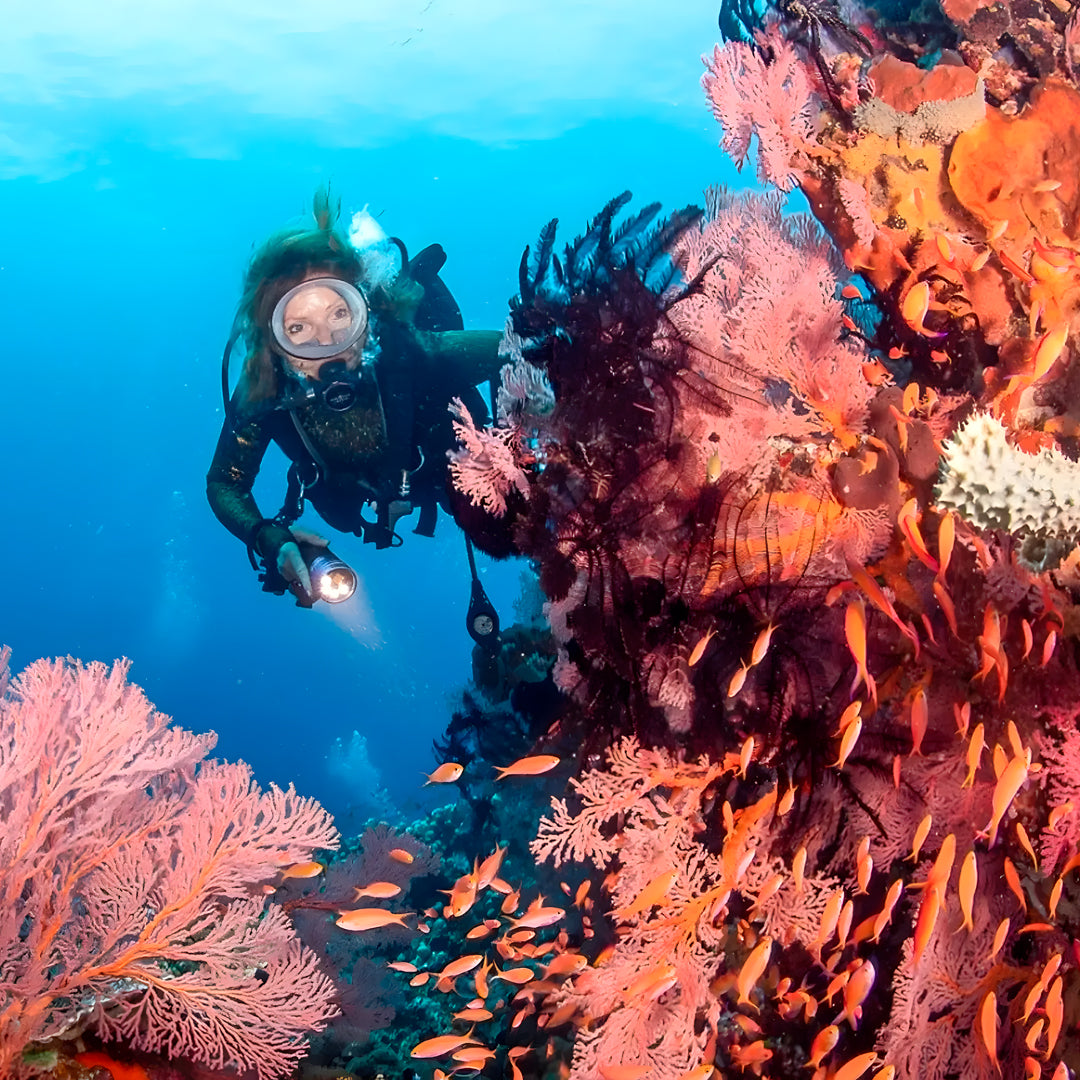 Discover Scuba Diving in Nusa Penida
