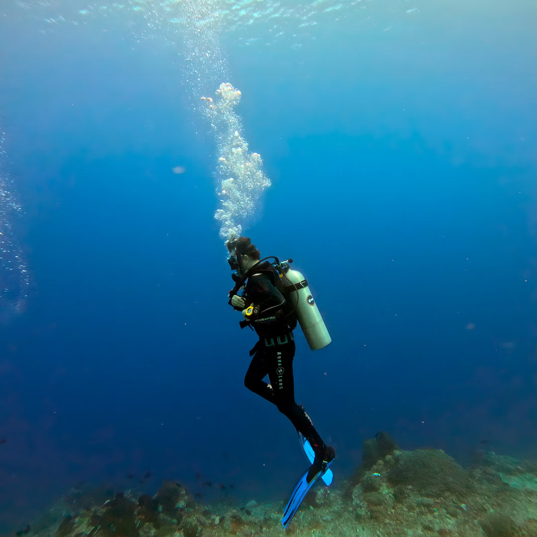 Discover Scuba Diving in Nusa Penida