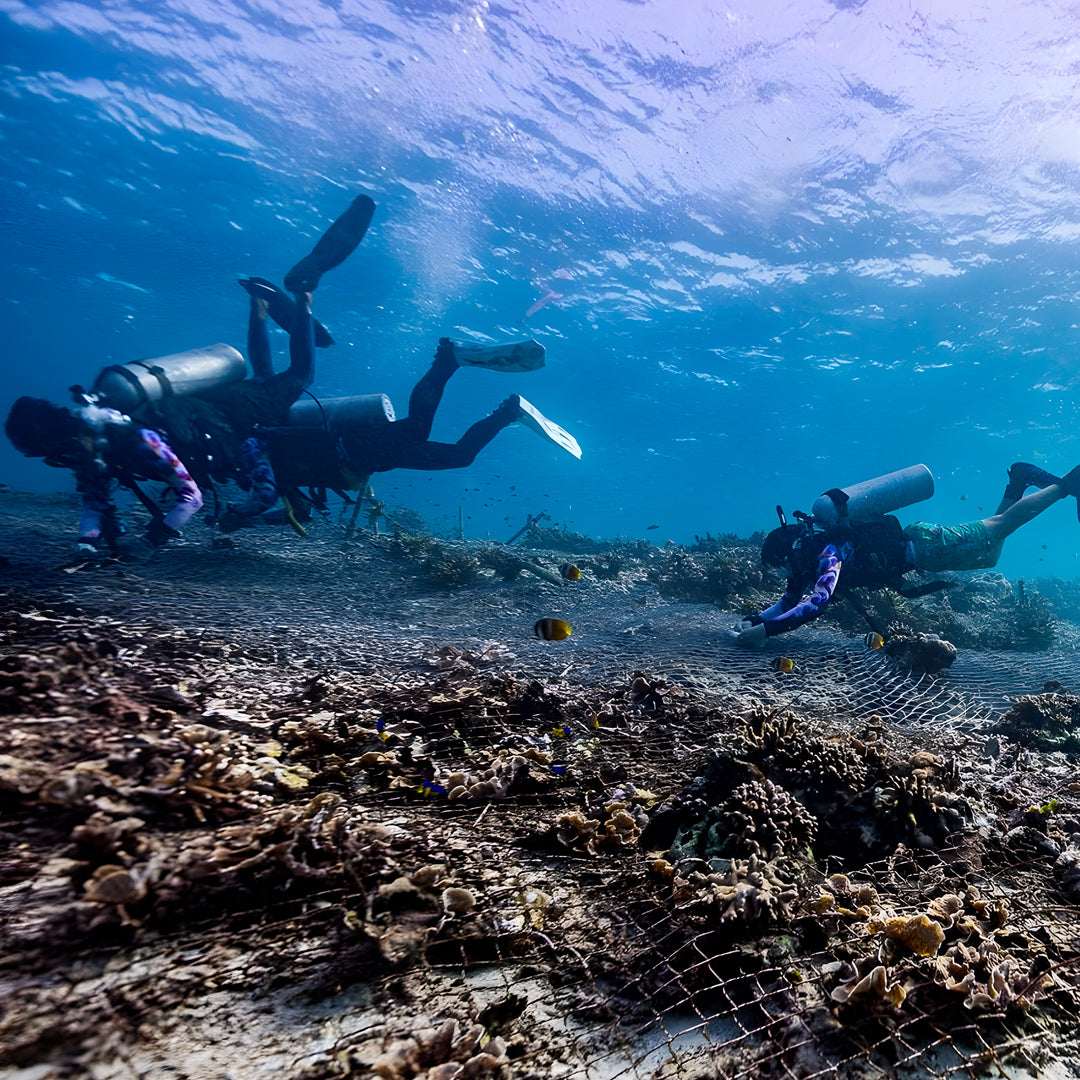 Nusa Penida Multi-Day Scuba Diving Trip