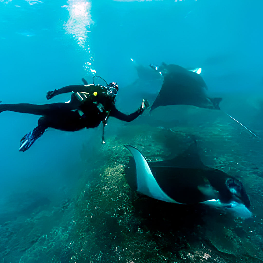 Nusa Penida Multi-Day Scuba Diving Trip