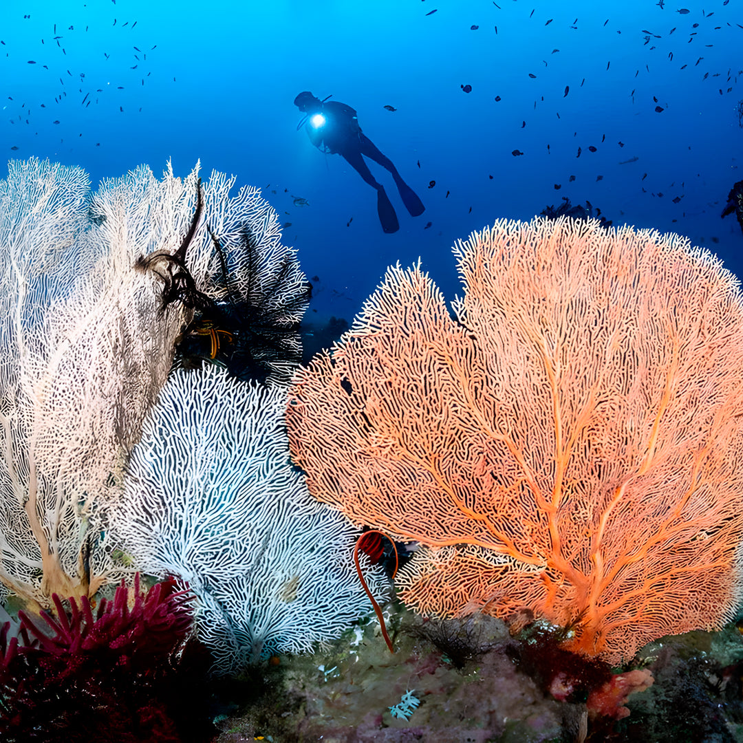 Nusa Penida PADI Open Water Scuba Diving Course