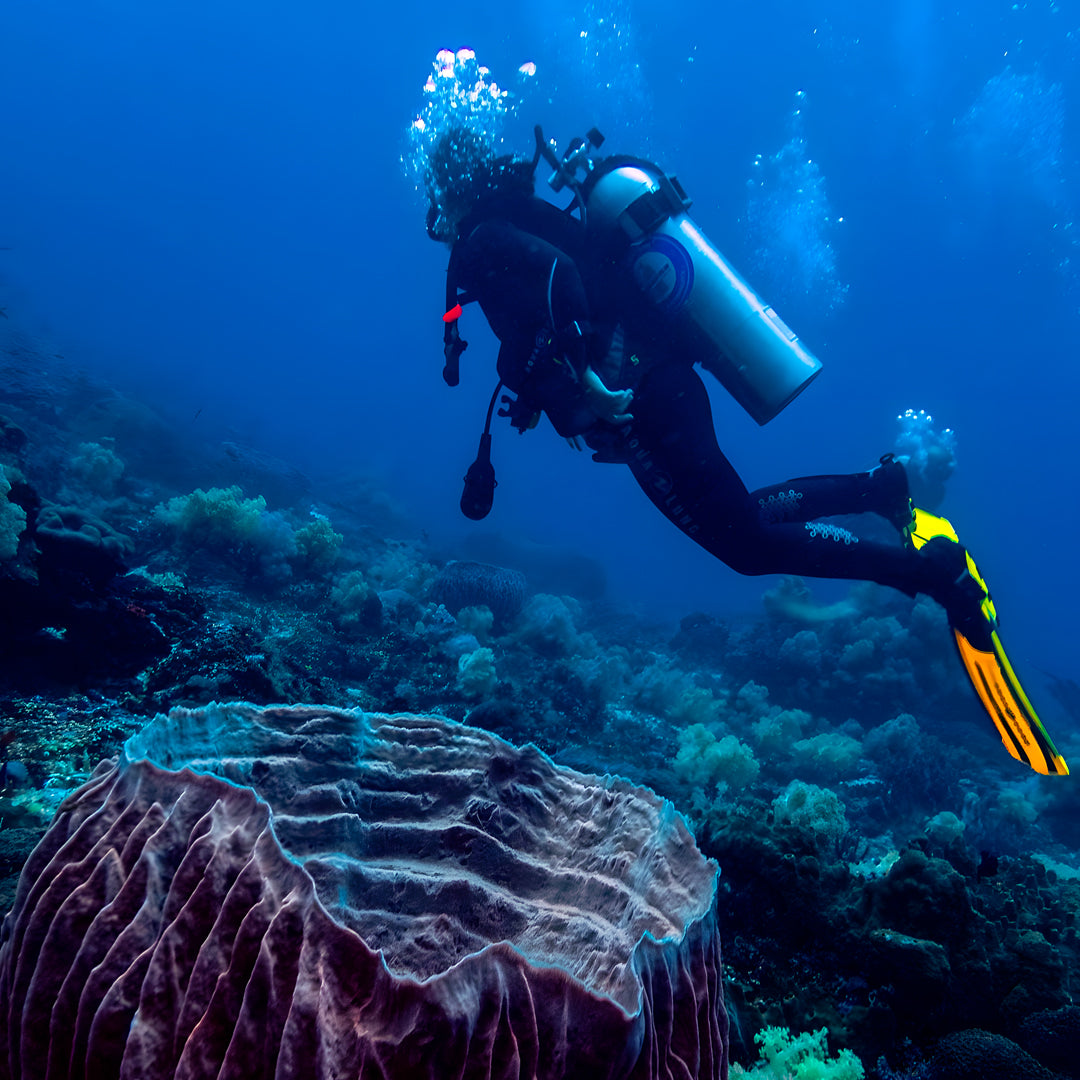 Nusa Penida PADI Open Water Scuba Diving Course