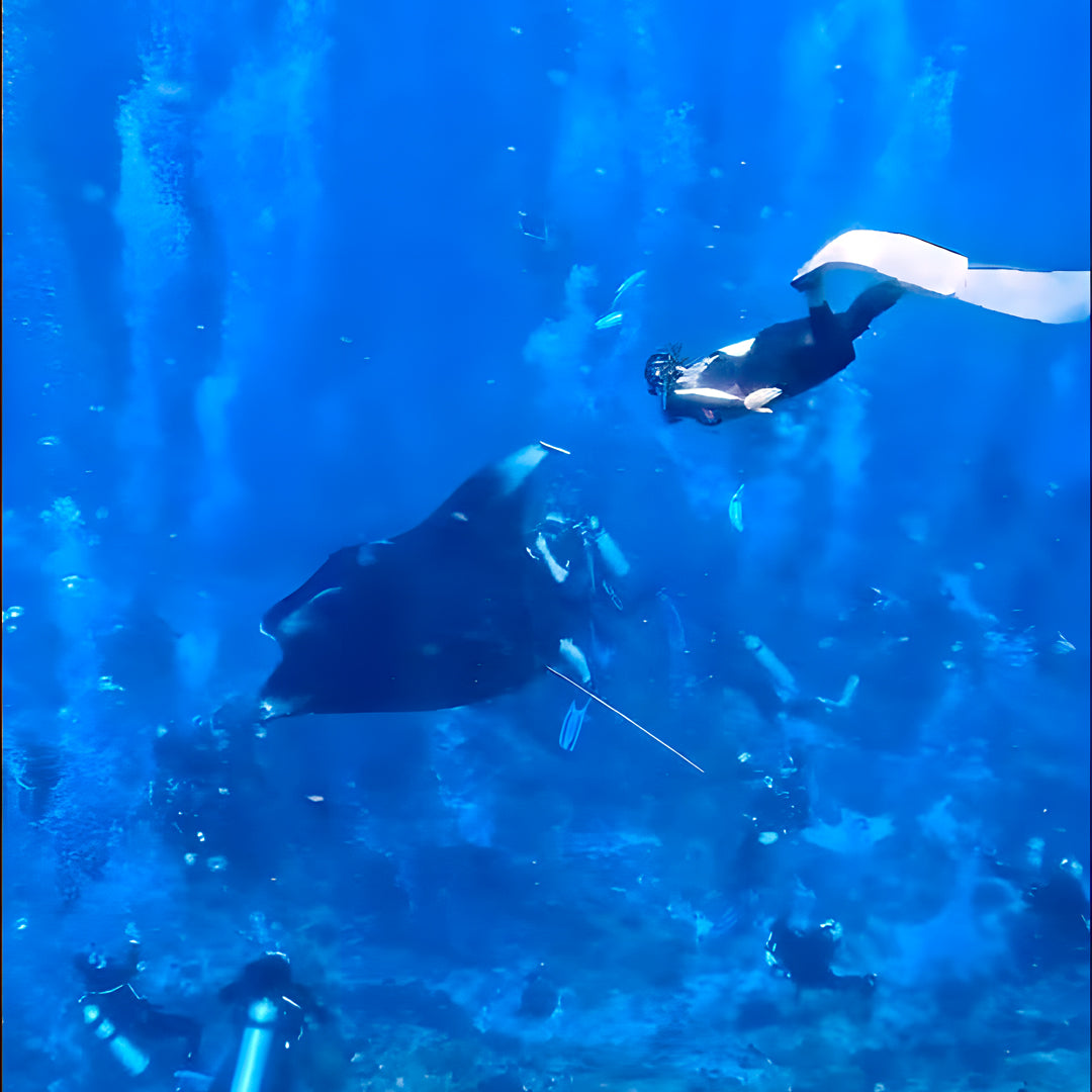 Nusa Penida Scuba Diving Fun Dive