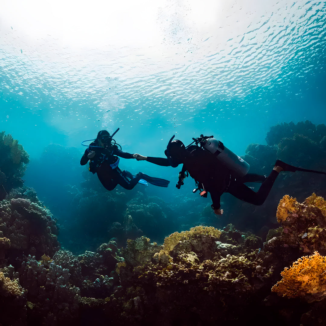 Nusa Penida Scuba Diving Fun Dive