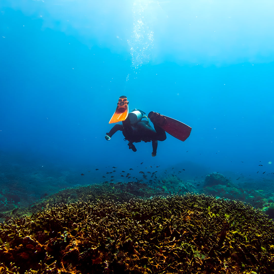 Nusa Penida Scuba Diving Fun Dive