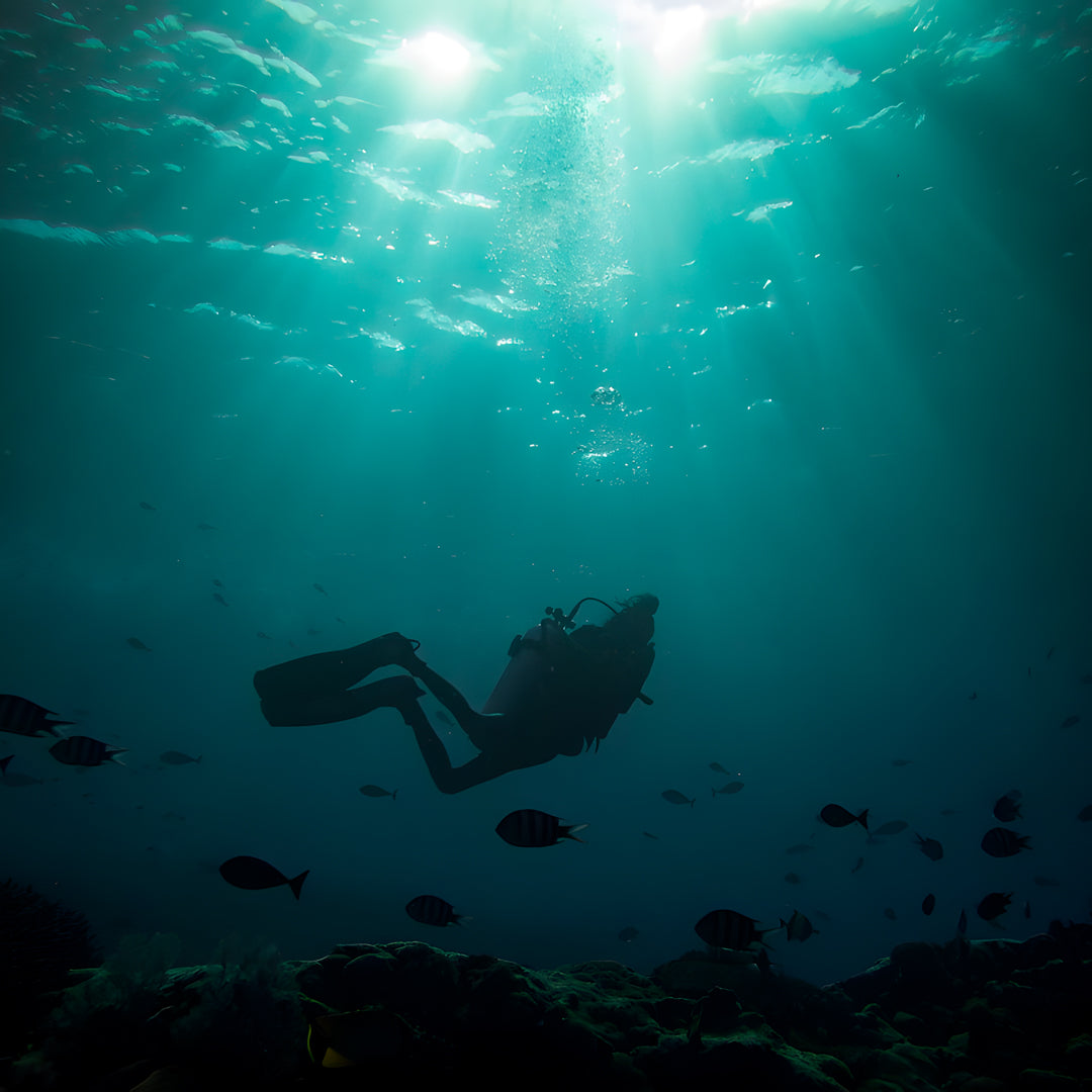 Nusa Penida Scuba Diving Fun Dive