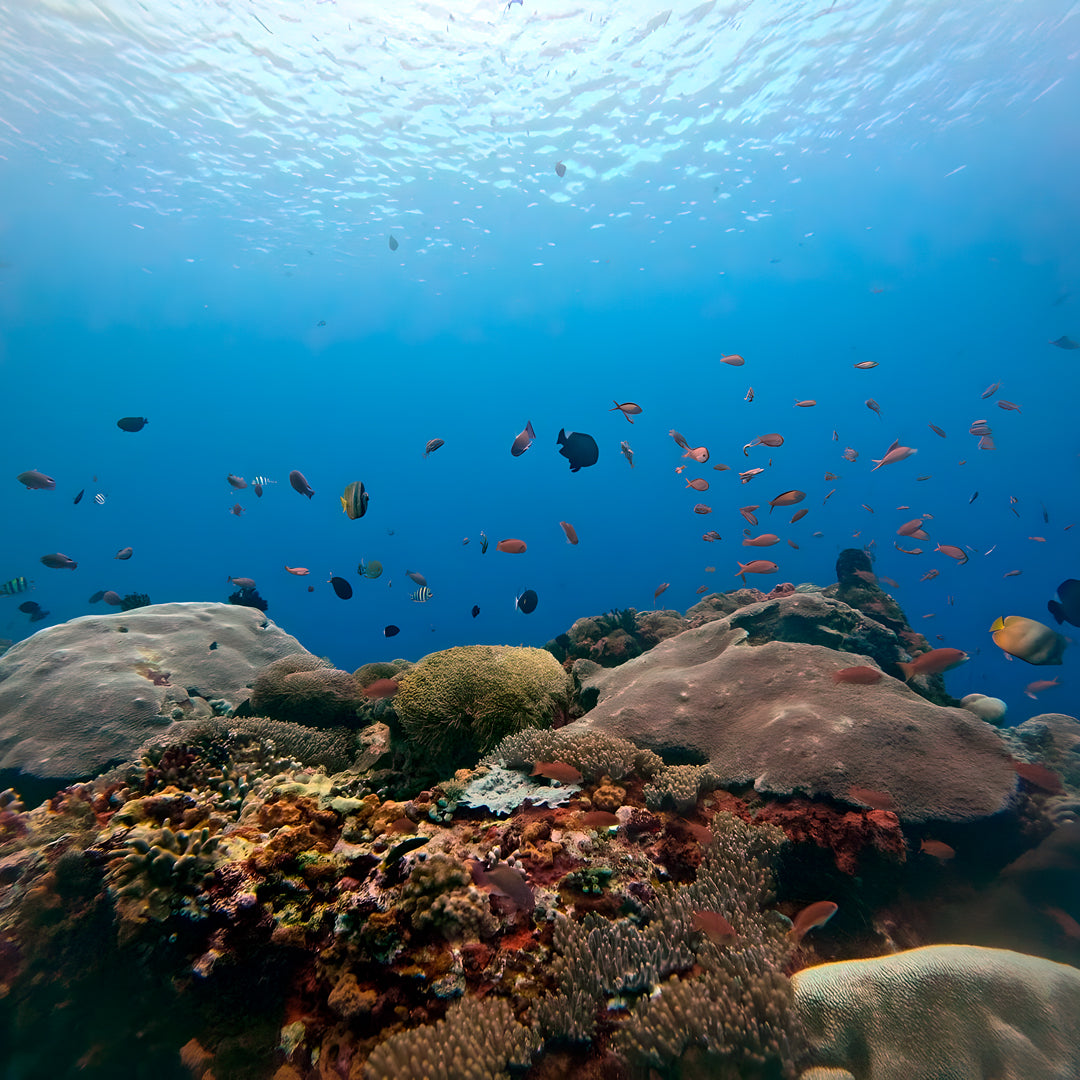 PADI Advanced Open Water Training in Nusa Penida