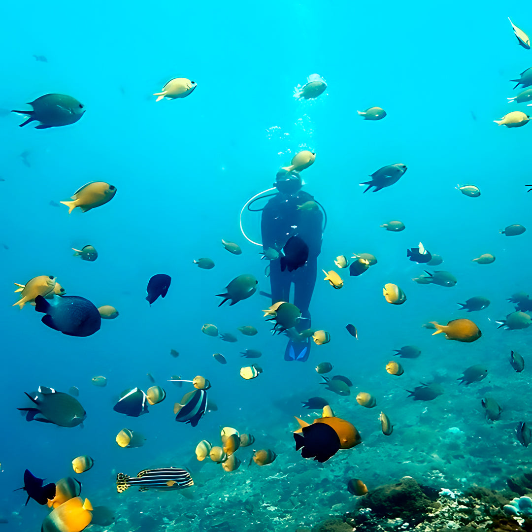 Nusa Penida Multi-Day Scuba Diving Trip