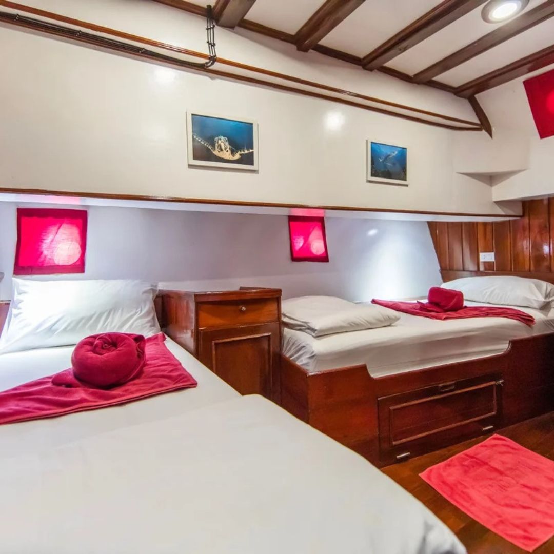 Best of South Thailand Scuba Diving Liveaboard