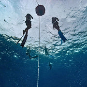 Africa Scuba Diving Liveaboard