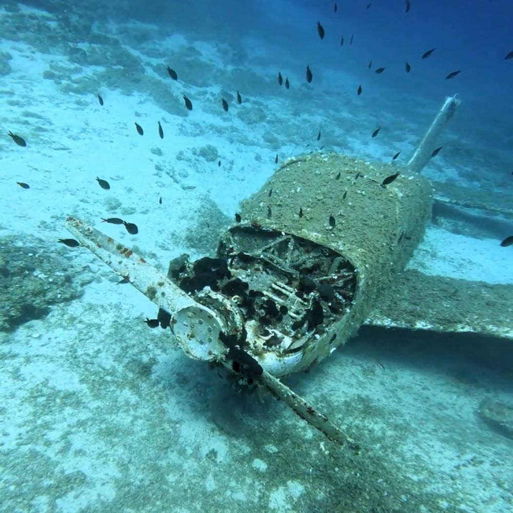 Africa Scuba Diving Liveaboard