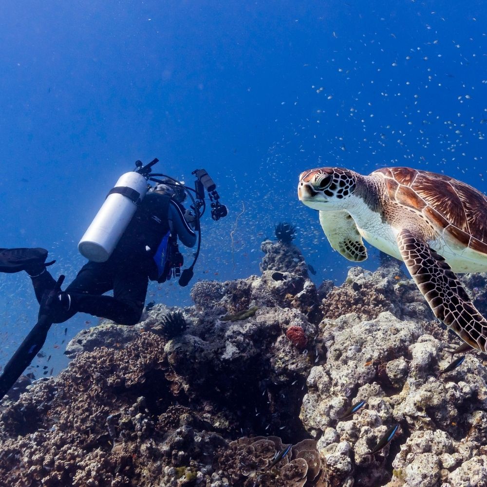 Southern Thailand Explorer Liveaboard