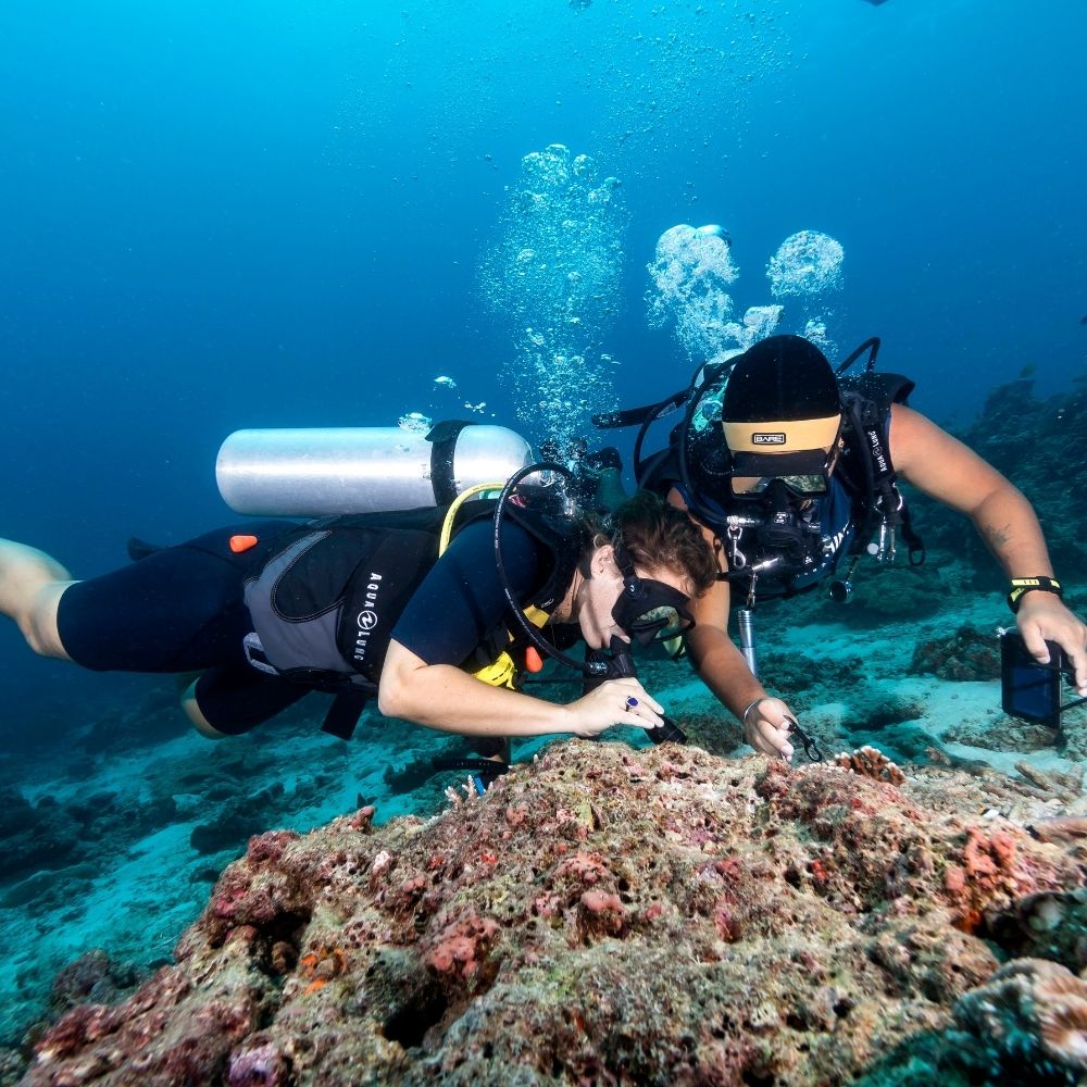 Southern Thailand Explorer Liveaboard