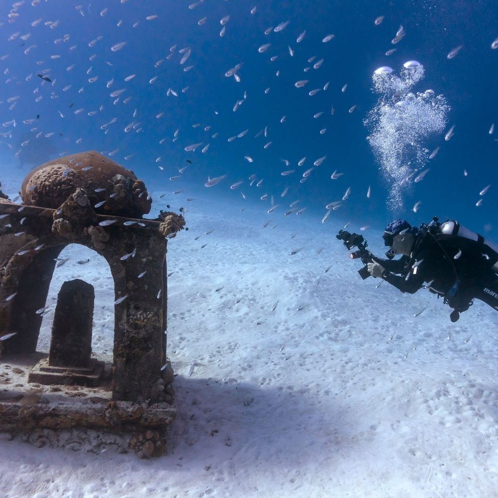 Surin to Similan Islands Liveaboard