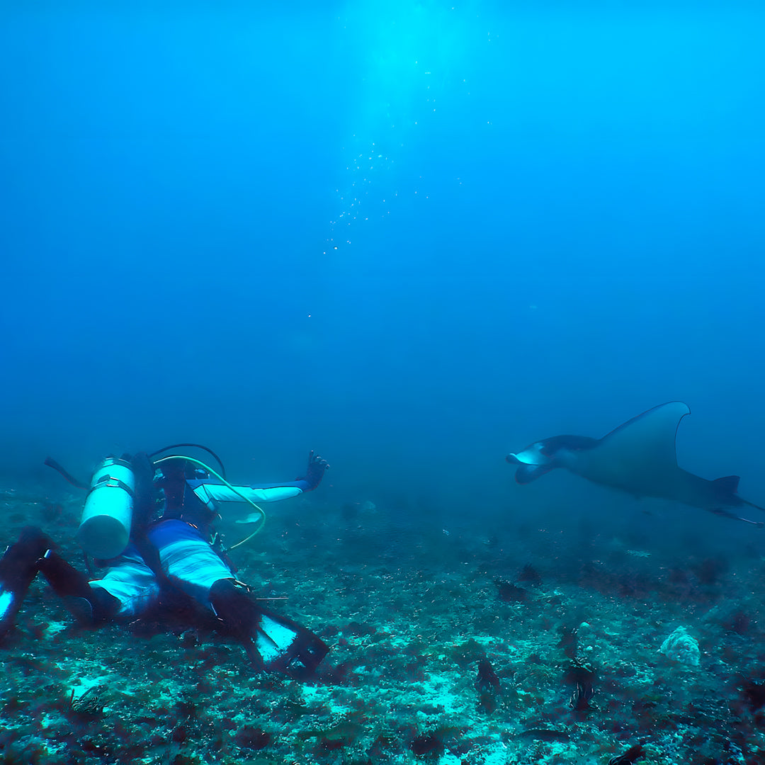 Curso de Divemaster de PADI