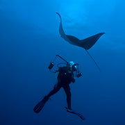 Curso de Divemaster de PADI