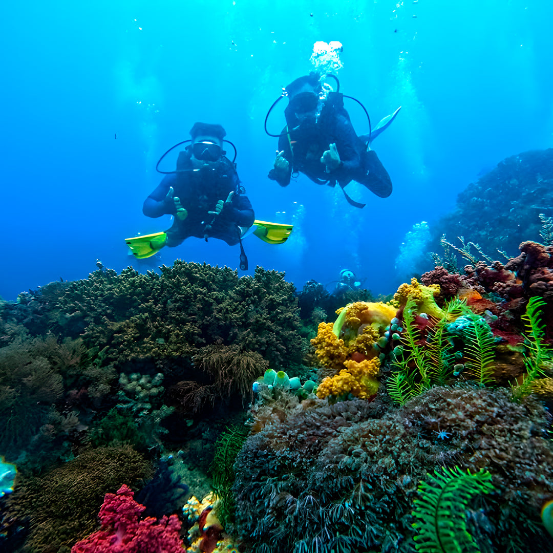 PADI Discover Scuba Diving