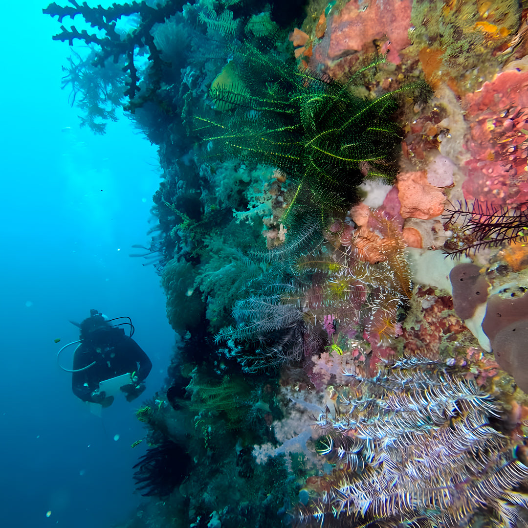 PADI Discover Scuba Diving