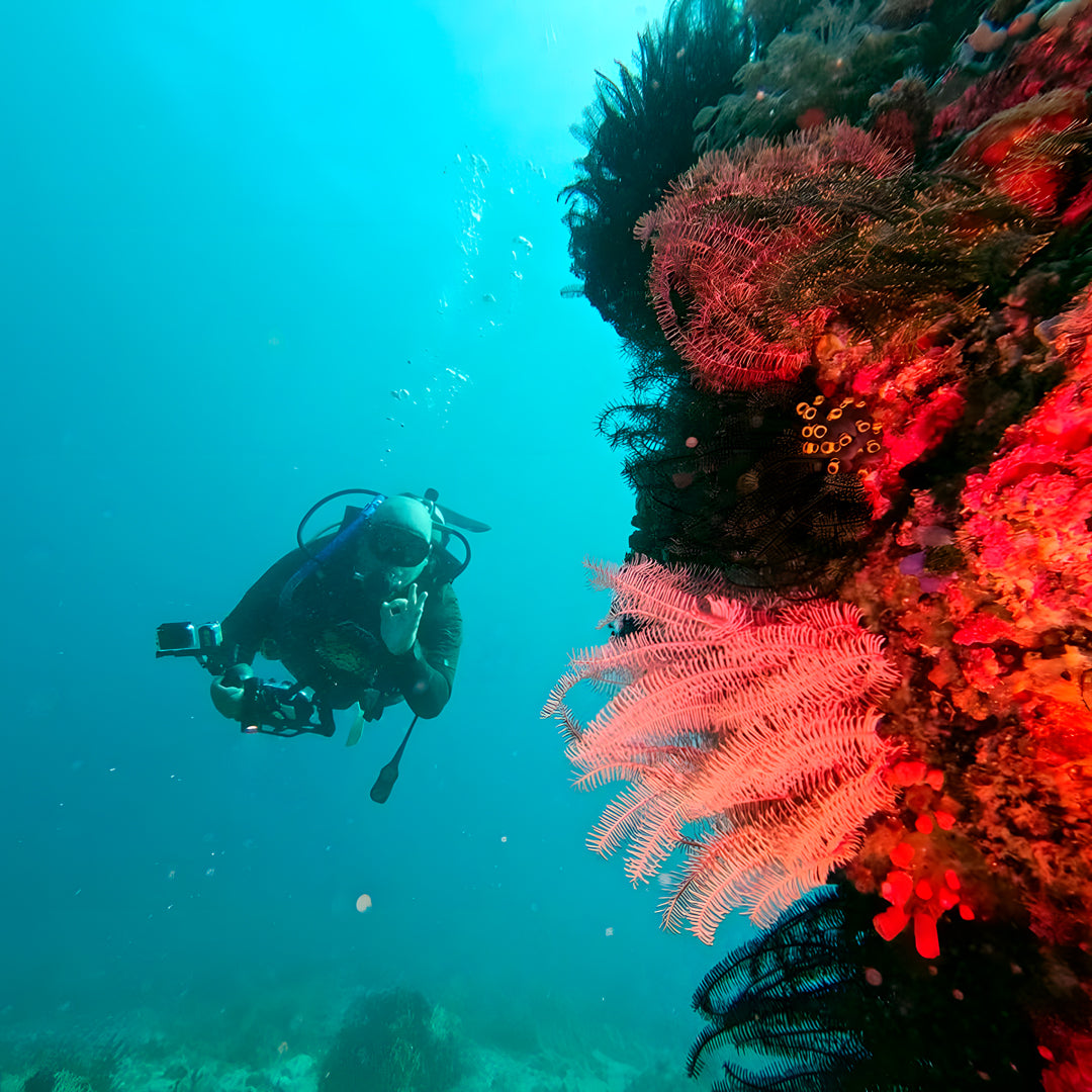 Curso de Divemaster de PADI