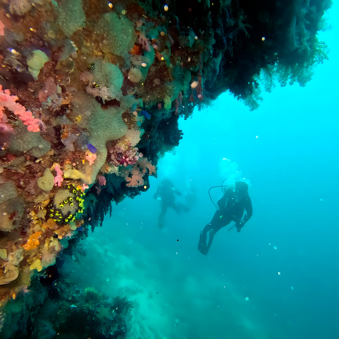 8D7N Buceo y Relax