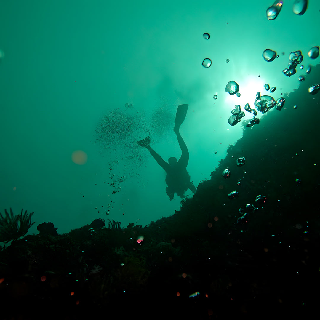 Curso de Divemaster de PADI