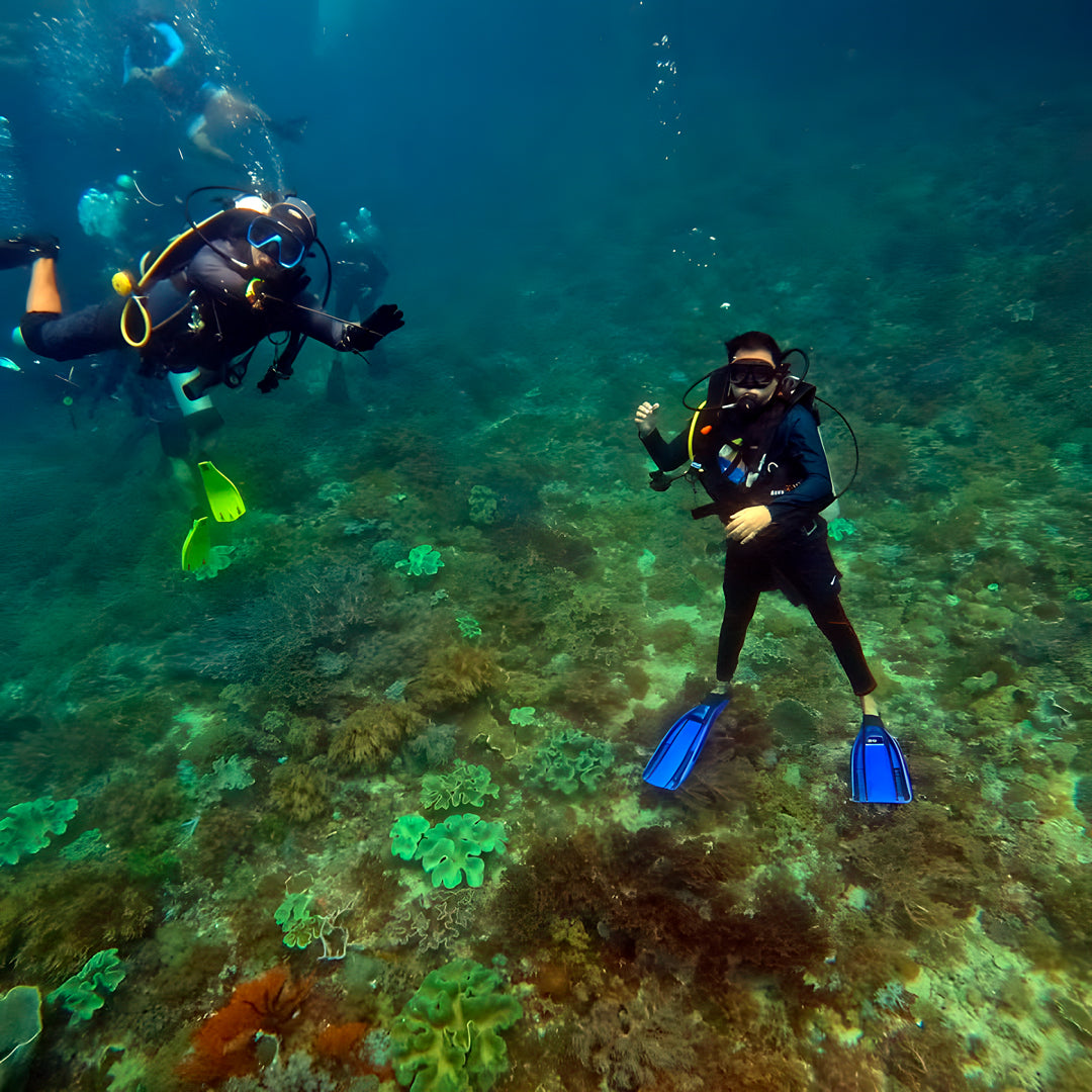 PADI Discover Scuba Diving