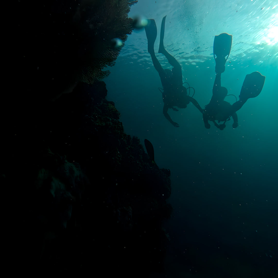 Curso de Divemaster de PADI
