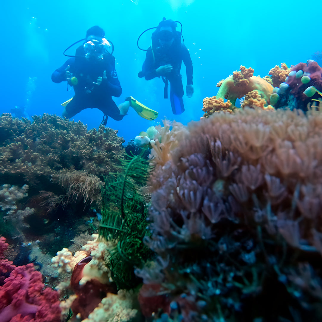 11D10N Buceo Ticao Plus