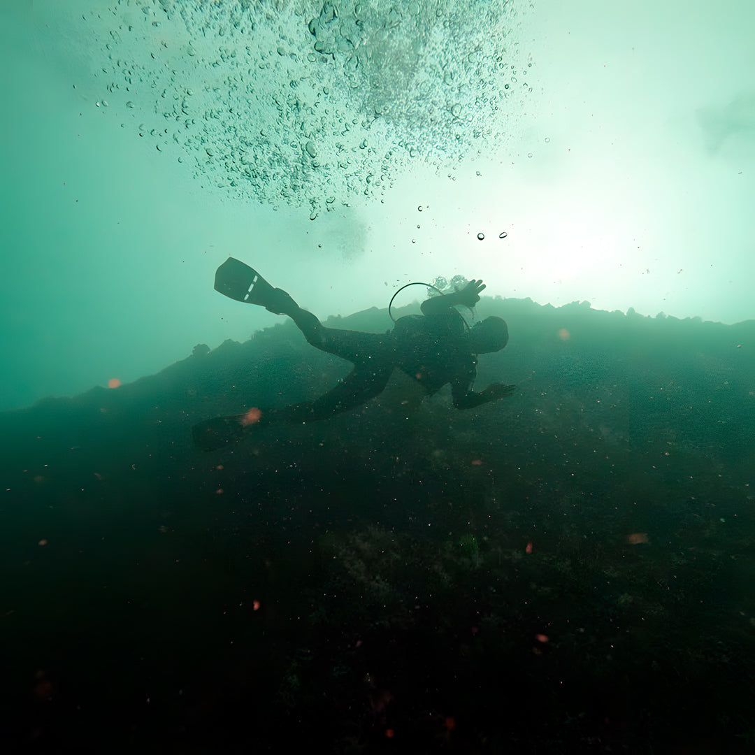8D7N Buceo y Relax